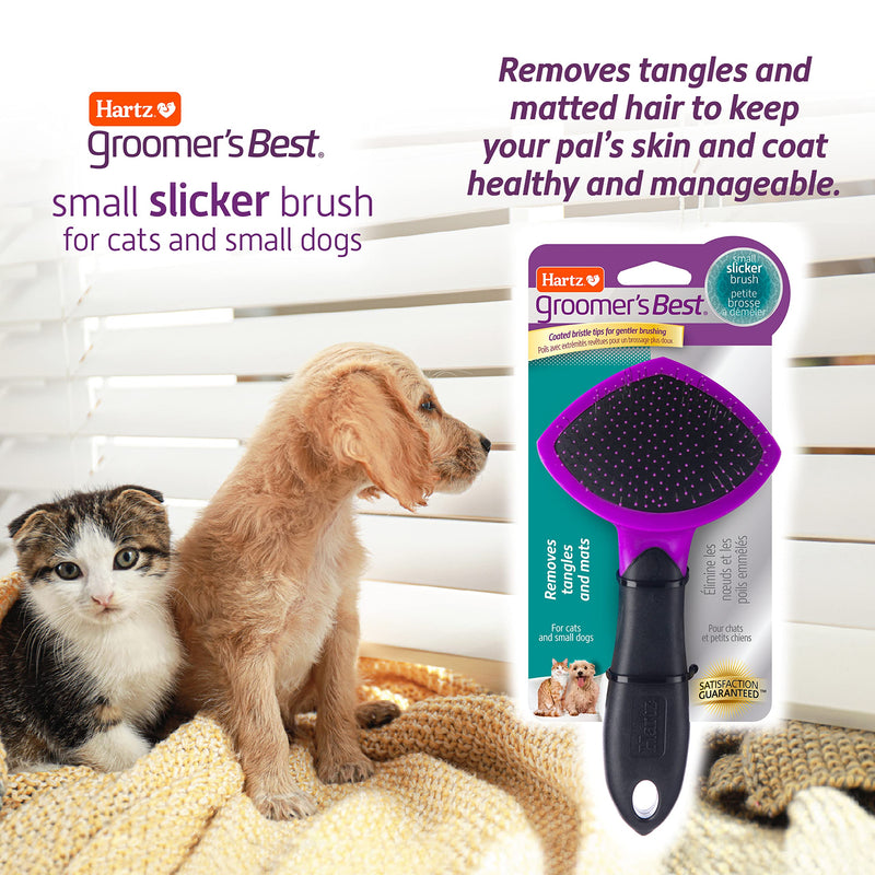 [Australia] - Hartz Groomer's Best Slicker Brush for Dogs & Cats, Detangles & Helps Deshedding for All Coat Types Cats and Small Dogs 