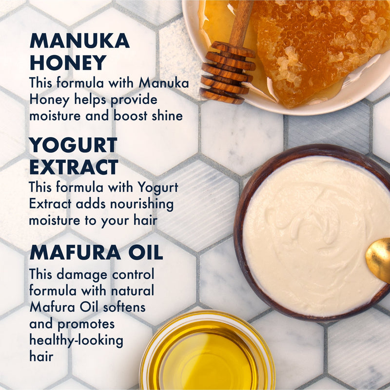 [Australia] - Shea Moisture Manuka Honey & Yogurt Hydrate + Repair Protein-Strong Treatment, 8 oz 