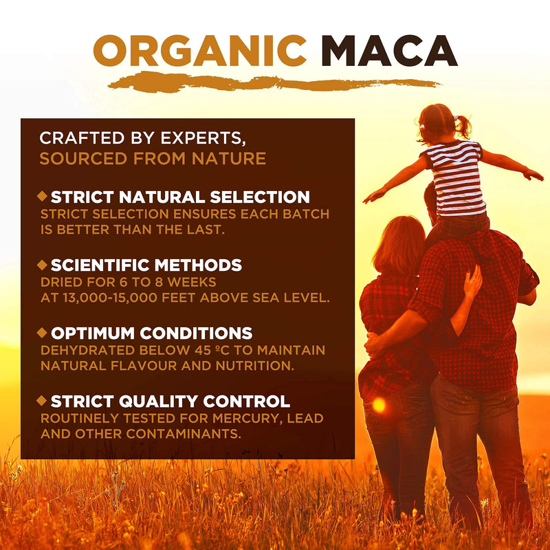 [Australia] - MySuperfoods Organic Maca Root Powder 200g Regular 200 g (Pack of 1) 