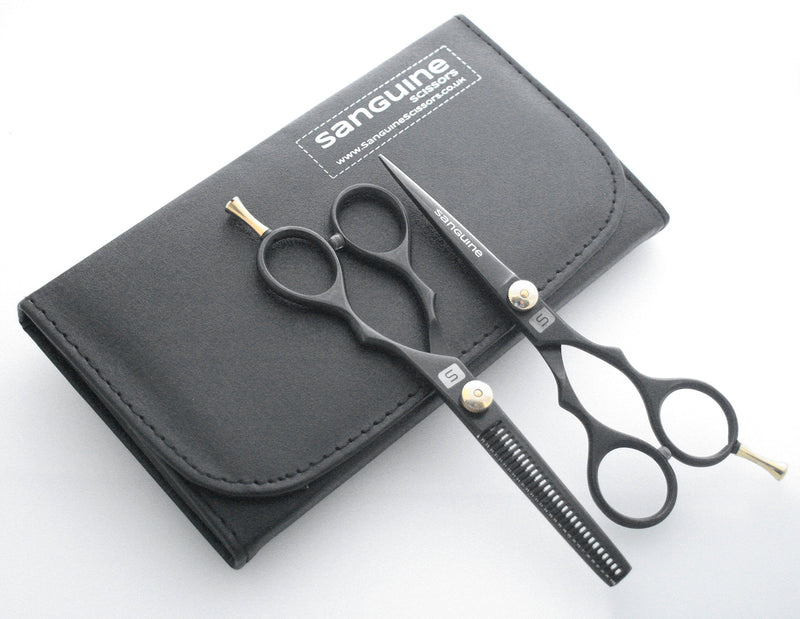 [Australia] - Professional Hair Scissors and Hair Thinning Scissors SET, 5.5 inch, Presentation Case 2 Piece Set 