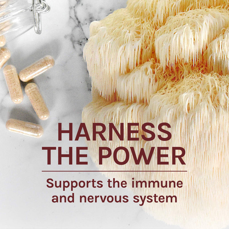 [Australia] - Host Defense, Lion's Mane Capsules, Promotes Mental Clarity, Focus and Memory, Mushroom Supplement, Unflavored, 120 120 Count (Pack of 1) Standard Packaging 