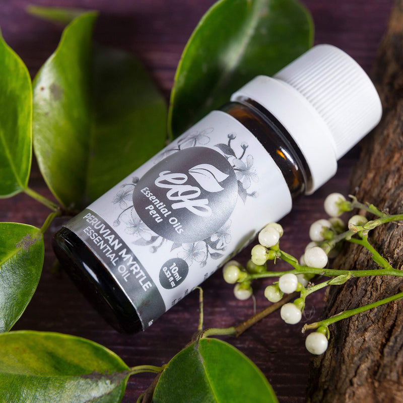 [Australia] - Peruvian Myrtle Essential Oil – 100% Pure. Wild, Sustainably Sourced. Therapeutic Grade – 10ml/0.33 Fl Oz. Arrayán (Luma chequen). Peru 