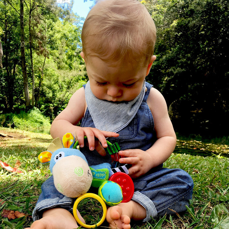 [Australia] - Playgro Activity Rattle Clip Clop, Learning Toy, From 3 Months, BPA Playgro Toy Box Horse Clip Clop, Blue/Multicoloured, 40016 