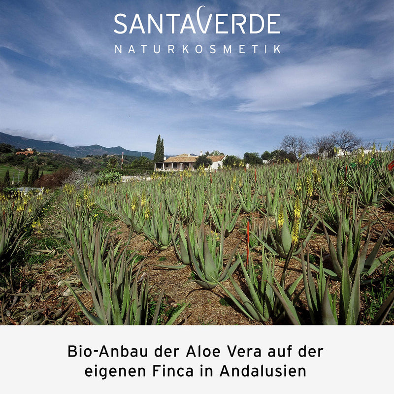 [Australia] - Santa Verde Aloe Vera creme medium (fragrance-free) 
