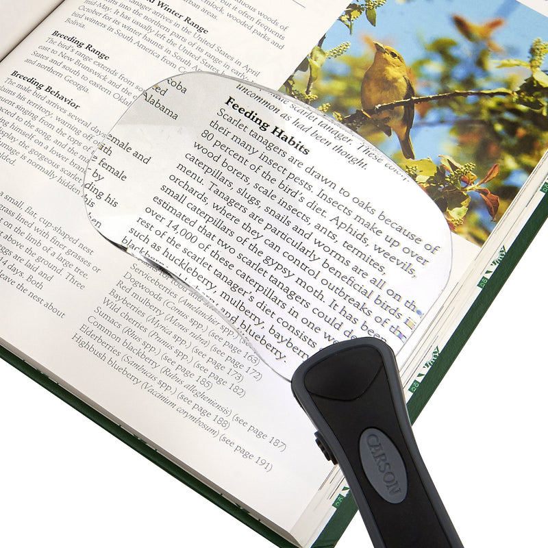 [Australia] - Carson LED Lighted RimFree 2x Power Rectangular or Round Magnifiers with Soft Pouch (RM-95, RM-77) Rectangular Rimless Magnifier 