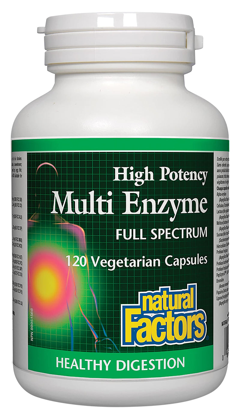 [Australia] - Natural Factors, High Potency Multi Enzyme Vegetarian Formula, Plant-Based Digestive Aid, 120 Capsules 120 Count (Pack of 1) 