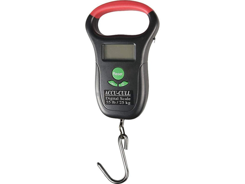 [Australia] - Accu Cull ACUDS Digital Scale 