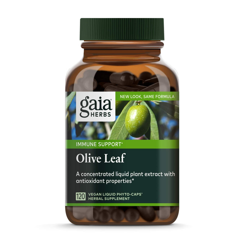 [Australia] - Gaia Herbs Olive Leaf - Traditional Immune Health Support - Immune System Supplement with Olive Leaf Extract and Oleuropein - 120 Vegan Liquid Phyto-Caps 120 Count (Pack of 1) Liquid Phyto-Capsules Standard Packaging 
