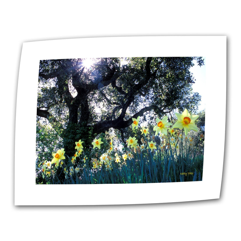 [Australia] - ArtWall Daffodils and The Oak 12 by 18-Inch Flat/Rolled Canvas by Kathy Yates with 2-Inch Accent Border 12"x18" 