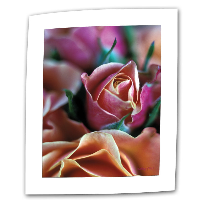 [Australia] - ArtWall Mauve and Peach Roses 24 by 36-Inch Flat/Rolled Canvas by Kathy Yates with 2-Inch Accent Border 24"x36" 