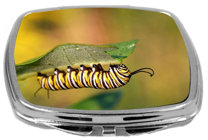[Australia] - Rikki Knight Compact Mirror, Caterpillar 