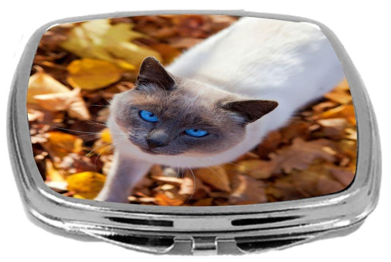[Australia] - Rikki Knight Compact Mirror, Autumn Cat Blue Eyes in Brown Leaves, 3 Ounce 