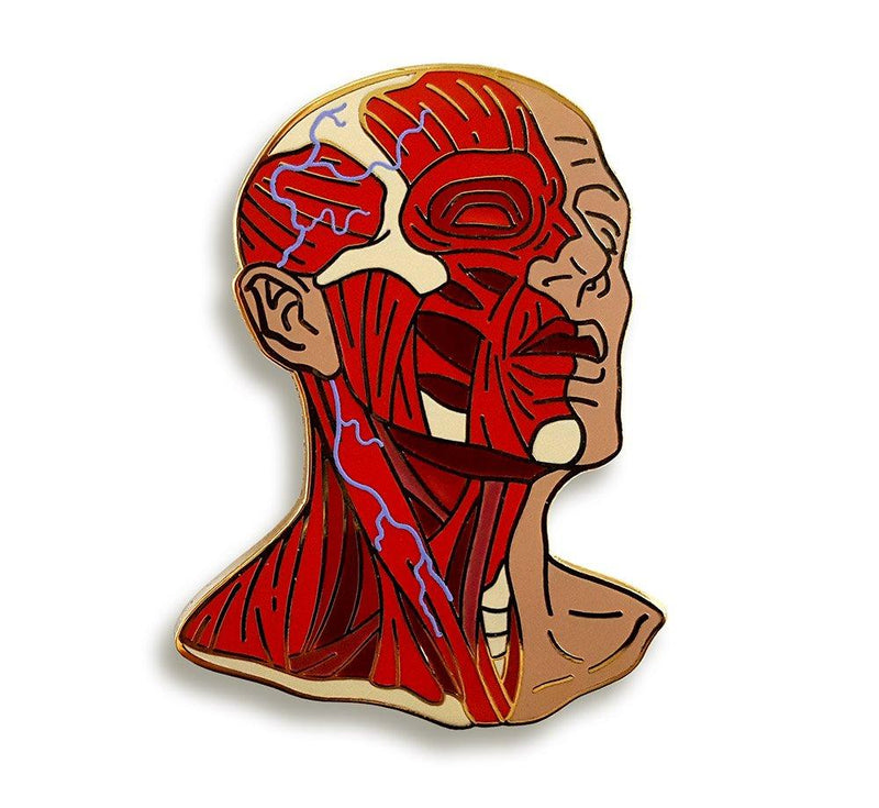 [Australia] - Pinsanity Head Anatomy Enamel Lapel Pin 