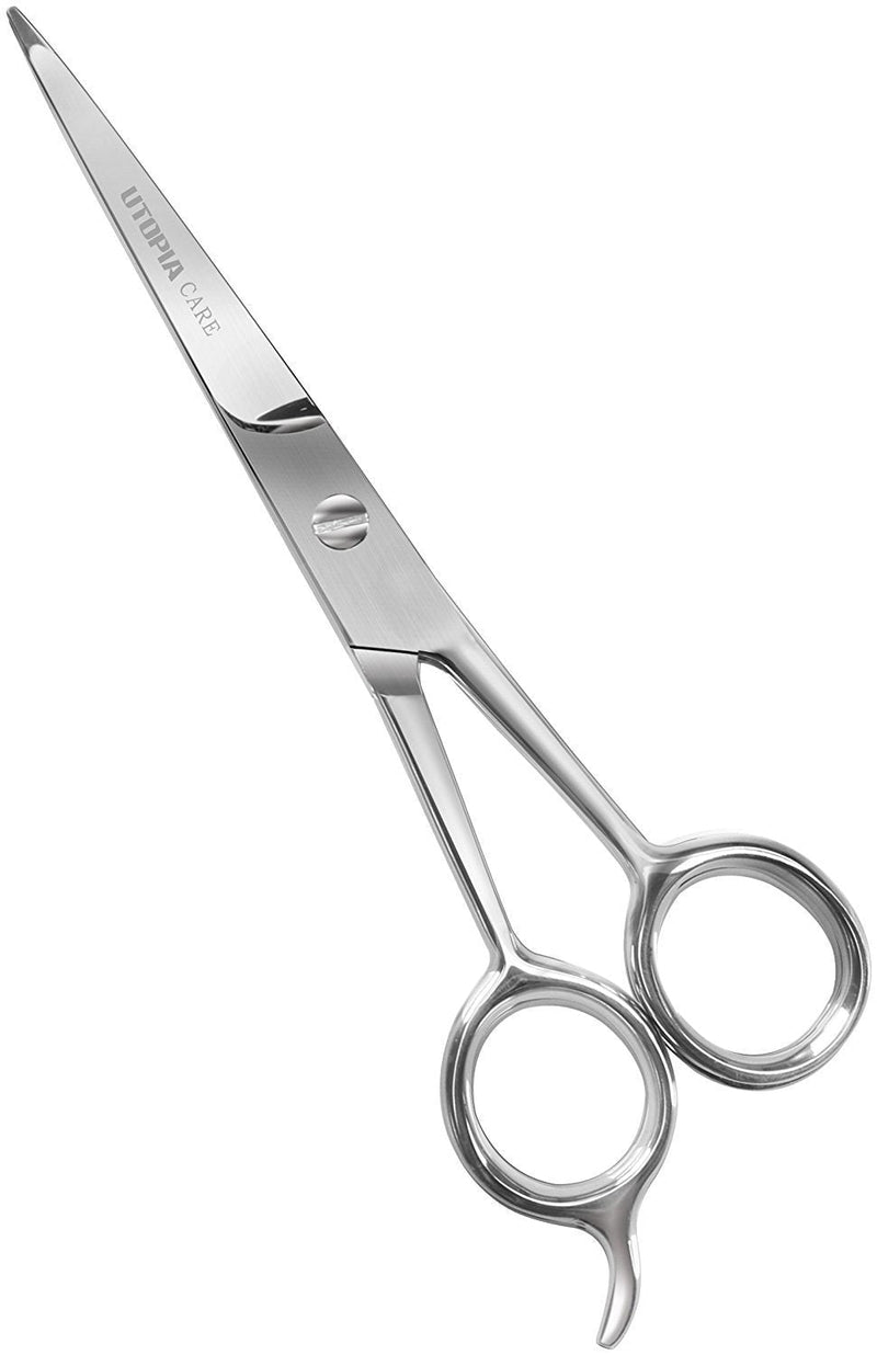 [Australia] - Professional Barber Hair Cutting Scissors/Shears - Silver (Matte) Matte 