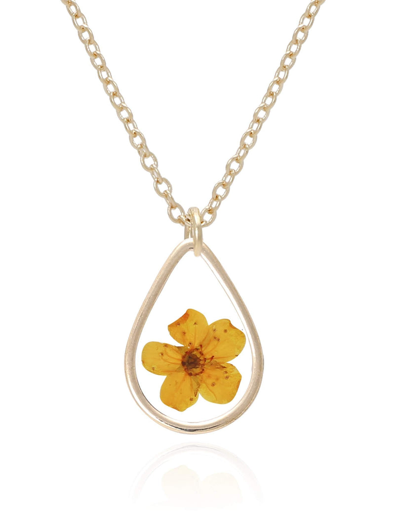 [Australia] - BONALUNA Pressed Flower Tear Drop Frame Pendant with Yellow Gold Plated Necklace 