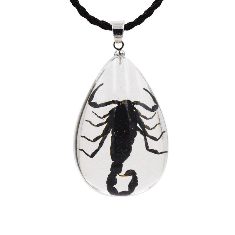 [Australia] - FOTTCZ Real Scorpion Necklace, Real Scorpion Pendant Necklace Large Black Scorpion 