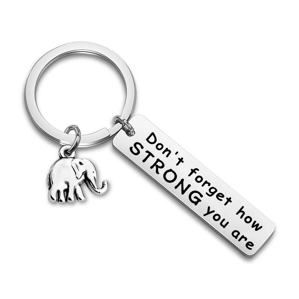 [Australia] - WUSUANED Friendship Keychain Never Forget How Strong You Are Elephant Jewelry Inspirational Gift For Elephant Lovers elephant keychain 