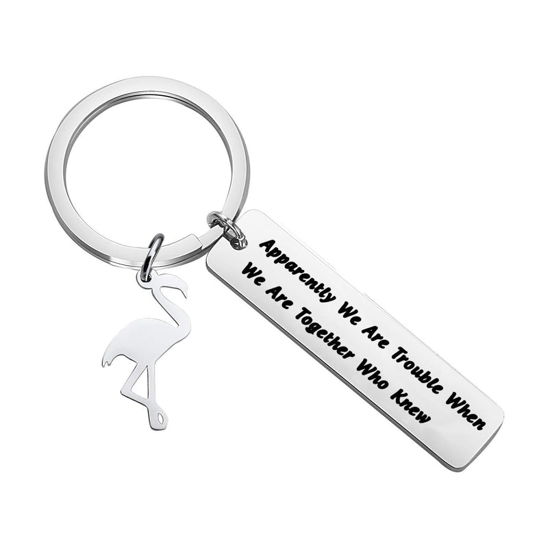 [Australia] - FOTAP Flamingo Party Gift Apparently We are Trouble When We are Together Who Knew Keychain Girl Weekends Gift Trouble keychain 