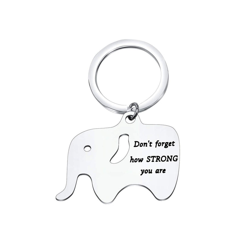 [Australia] - MYOSPARK Don't Forget How Strong You are Elephant Inspirational Keychain Gift for Elephant Lovers STRONG Elephant Keychain 