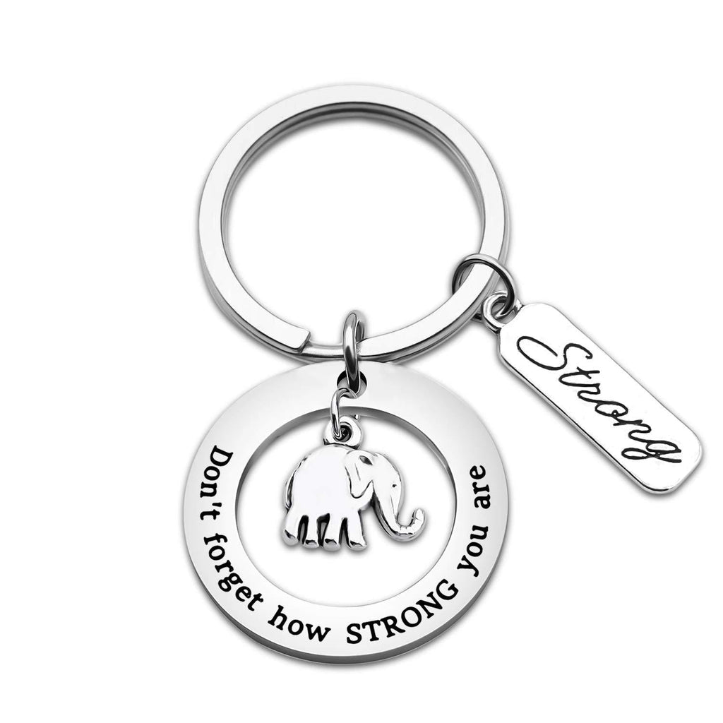 [Australia] - bobauna Inspirational Elephant Keychain Bracelet Don't Forget How Strong You are Encouragement Jewelry Gift for Friend Family elephant round keychain 