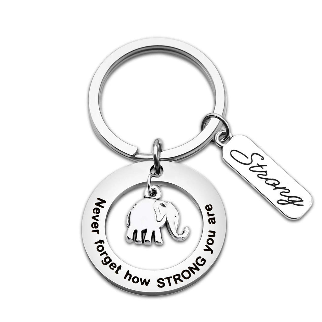 [Australia] - MYOSPARK Elephant Keychain Don't Forget How Strong You Are Inspirational Gift For Graduate Elephant Lovers Elephant Keychain 7 