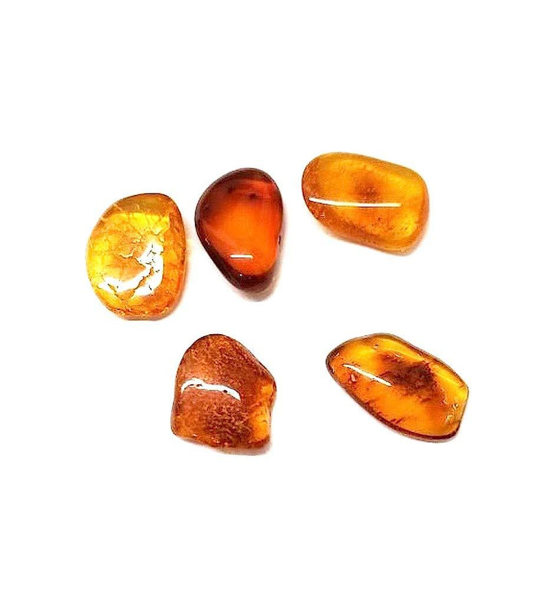 [Australia] - Ian and Valeri Co. Natural Baltic Amber Tiny Loose Gemstones Set of 5 