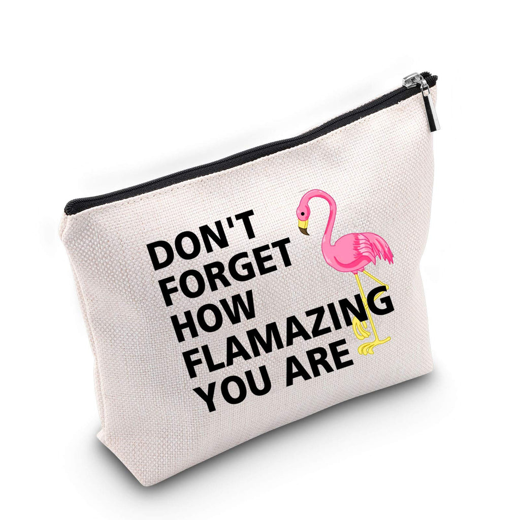[Australia] - TSOTMO Novelty Makeup Bag Flamingo Gift DON'T FORGET HOW FLAMAZING YOU ARE Cosmetic Bags Inspirational Gift for BFF (FLAMAZING) 