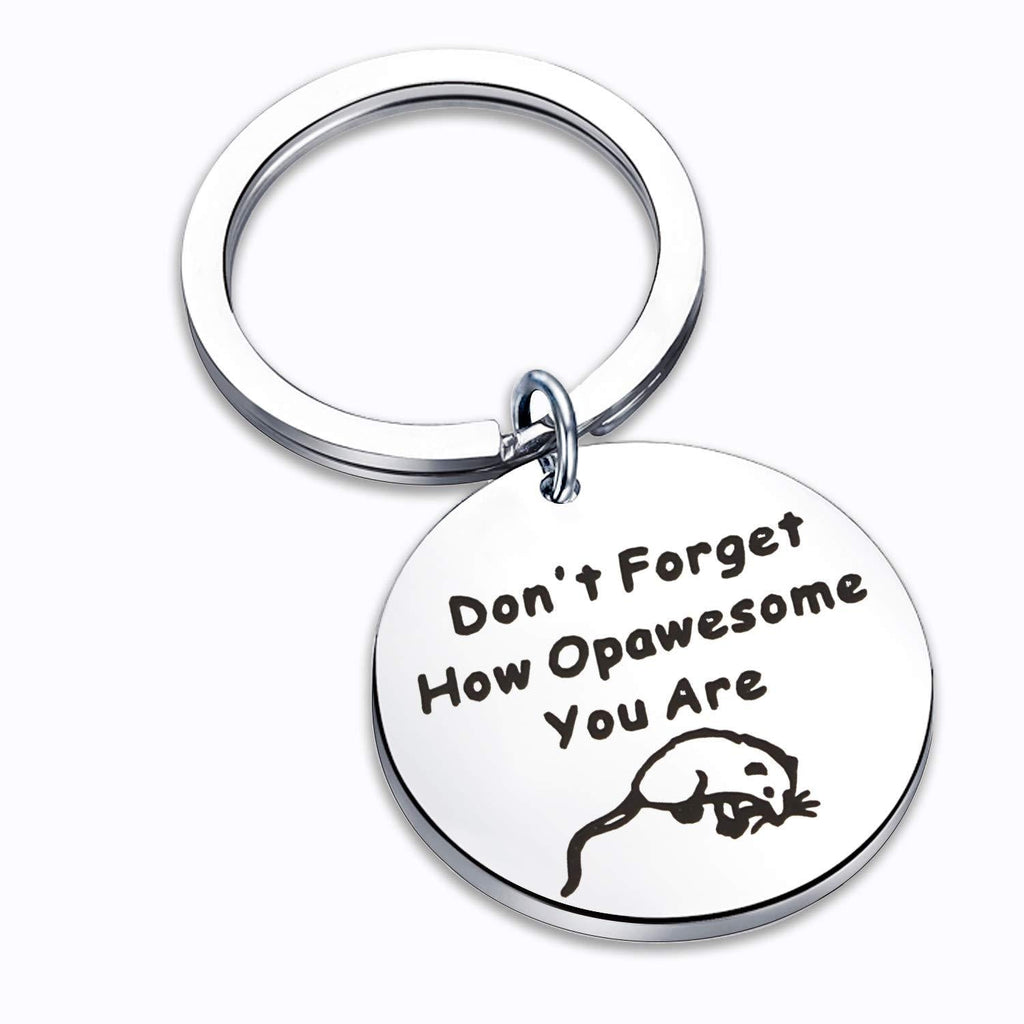 [Australia] - CWSEN Funny Opossum Lover Gift Opossum Jewelry Keychain Don’t Forget How Opawesome You are Inspirational Gift for Best Frien 