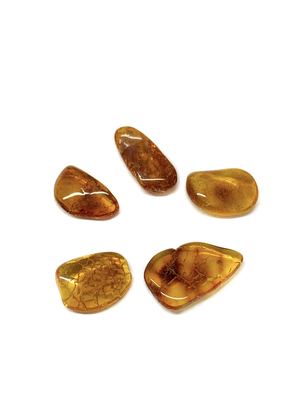 [Australia] - Ian and Valeri Co. Natural Baltic Amber stones Set of 5 