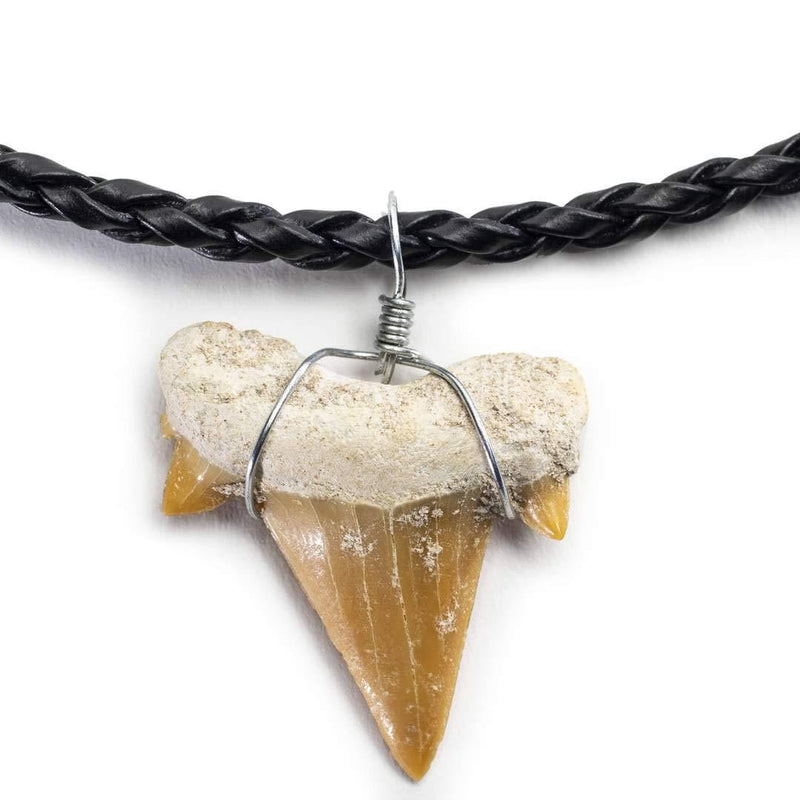 [Australia] - KALIFANO Fossilized Shark Tooth Necklace - Authentic Prehistoric Megaladon Teeth Fossil Pendant on 20" Inch Braided Leather Cord - Great Gift for Men and Boys (Information Card Included) 