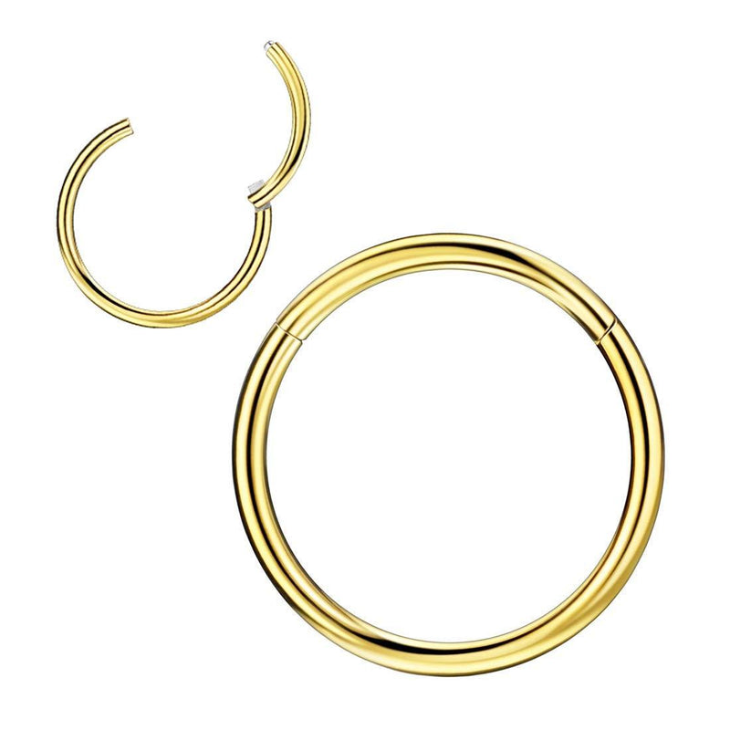 [Australia] - Nose Rings Hoop 316L Surgical Steel Hypoallergenic Hinged Nose Ring Nose Hoop Nose Rings for Women/Men Nose pierced 20G 18G 16G 12G 10G 8G 6G, Diameter 6mm to 14mm, Silver/Gold/Rose Gold 14g（1.6mm）*10mm 