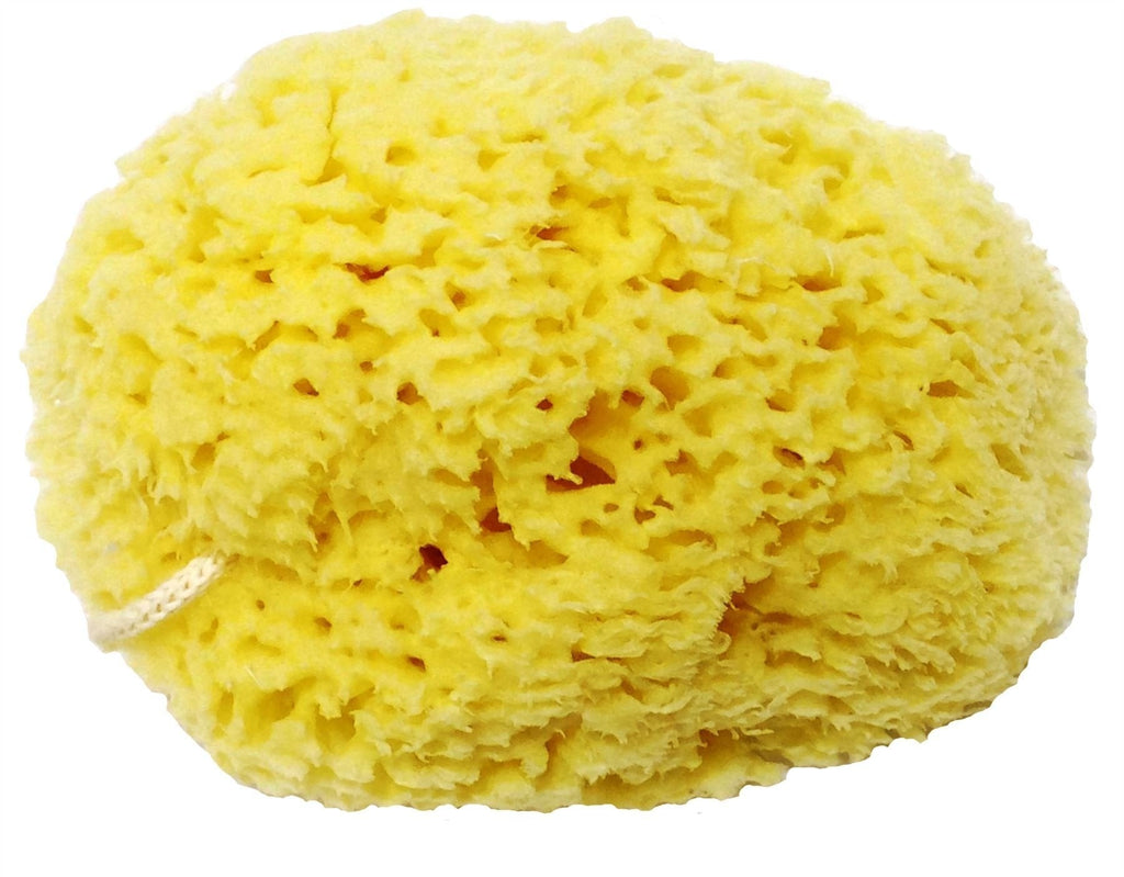 [Australia] - Honeycomb Natural Sea Sponge - Strong and durable - suitable for both children and adults, for use in bathing, cleansing, exfoliating and applying cosmetics 15.5 cm approx 