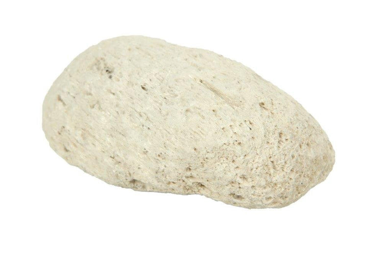 [Australia] - Pumice Stone Foot Care Scruber Dead Hard Skin Callus Remover Pedicure Tool 100% natural Exfoliating Hard Skin from the Feet 