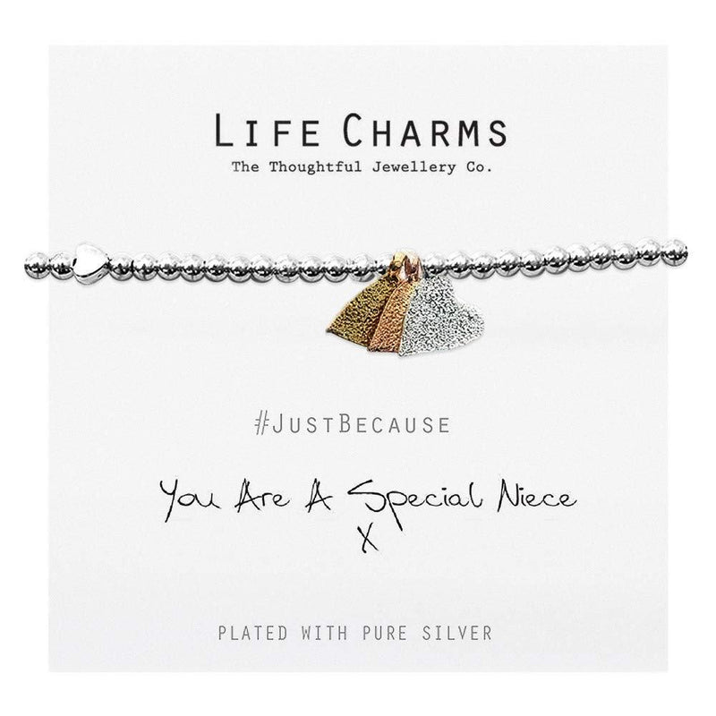 [Australia] - Life Charms You are A Special Niece Bracelet 