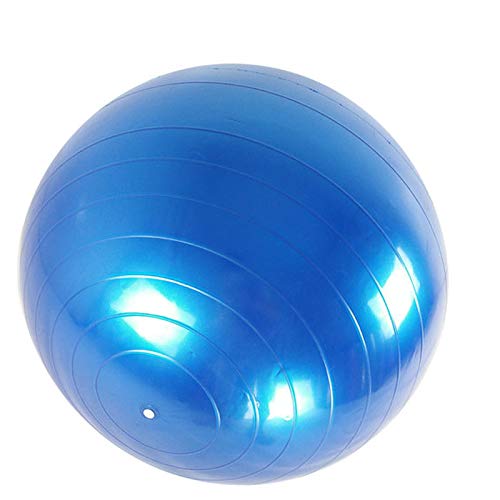 [Australia] - Fortitude Sports Swiss Ball 55cm | Exercise Ball With Pump For Yoga, Fitness, Pilates, Balance, Gym | Anti Burst, Anti Slip Blue 
