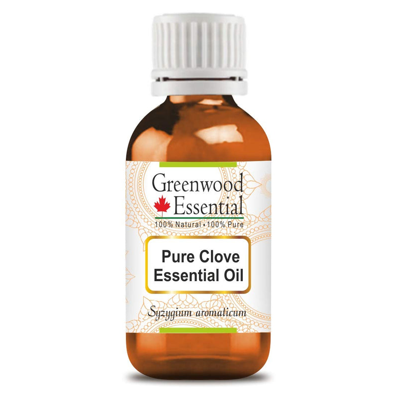 [Australia] - Greenwood Essential Pure Clove Essential Oil (Syzygium aromaticum) 100% Natural Therapeutic Grade Steam Distilled 15ml (0.50 oz) 15 ml (Pack of 1) 