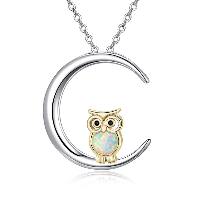 [Australia] - Jewellery for Women Gifts for Girls 925 Sterling Silver Owl Necklace Pendant/Earrings Jewelry Gifts with Gift Box B 