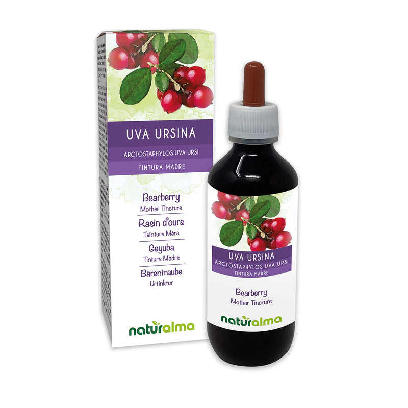 [Australia] - Bearberry (Arctostaphylos uva Ursi) Leaves Alcohol-Free Mother Tincture Naturalma | Liquid Extract Drops 200 ml | Food Supplement | Vegan 200 ml (Pack of 1) 