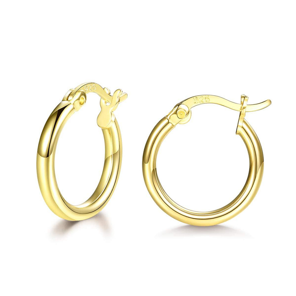 [Australia] - wynn's Silver Hoop Earrings for Women, 925 Sterling Silver Hoops Earrings, Anti-allergic Huggie Hinged Small Slepper Hoops, Gift for Girls, Diameters in 13/16/20 mm, 3 Colors in Silver/Gold/Rose Gold 13mm 