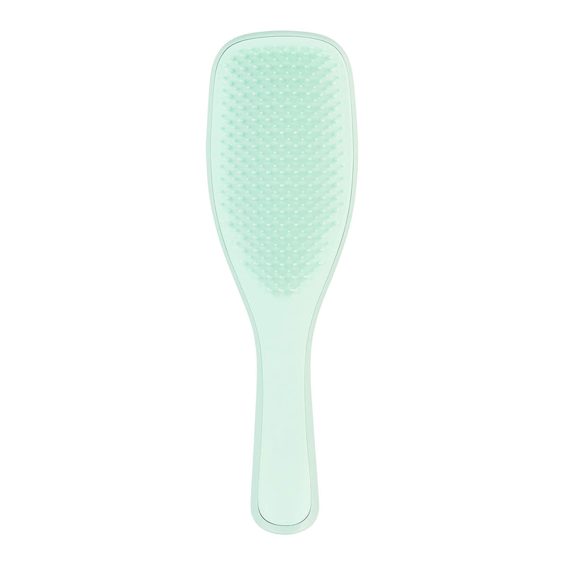 [Australia] - Tangle Teezer The Wet Detangler Fine & Fragile, Jade Lagoon 