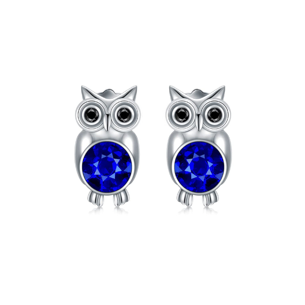 [Australia] - Owl Gifts for Women, Sterling Silver Cute Owl Stud Earrings for Her Girls Daughter 