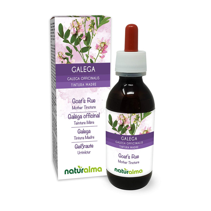[Australia] - Goat’s rue (Galega officinalis) herb with Flowers Alcohol-Free Mother Tincture Naturalma | Liquid Extract Drops 120 ml | Food Supplement | Vegan 
