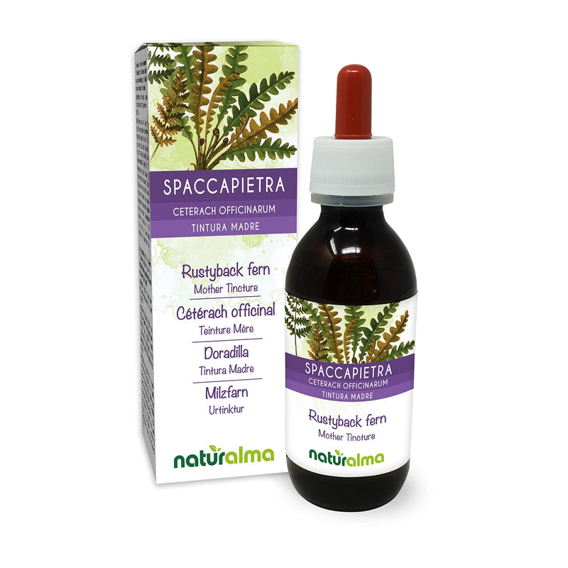 [Australia] - Rustyback Fern (Ceterach officinarum or Asplenium Ceterach) Leaves Alcohol-Free Mother Tincture Naturalma | Liquid Extract Drops 120 ml | Food Supplement | Vegan 120 ml (Pack of 1) 