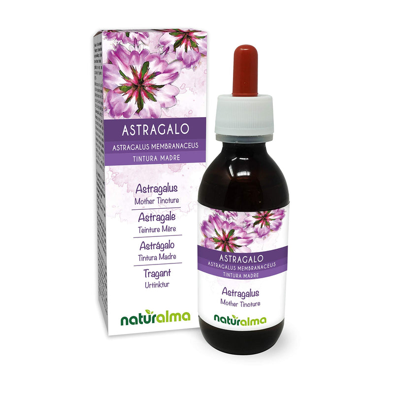 [Australia] - Astragalus (Astragalus membranaceus) Roots Alcohol-Free Mother Tincture Naturalma | Liquid Extract Drops 120 ml | Food Supplement | Vegan 120 ml (Pack of 1) 