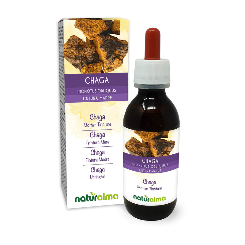 [Australia] - Chaga (Inonotus obliquus) Fungus or Mushroom Alcohol-Free Mother Tincture Naturalma | Liquid Extract Drops 120 ml | Food Supplement | Vegan 120 ml (Pack of 1) 