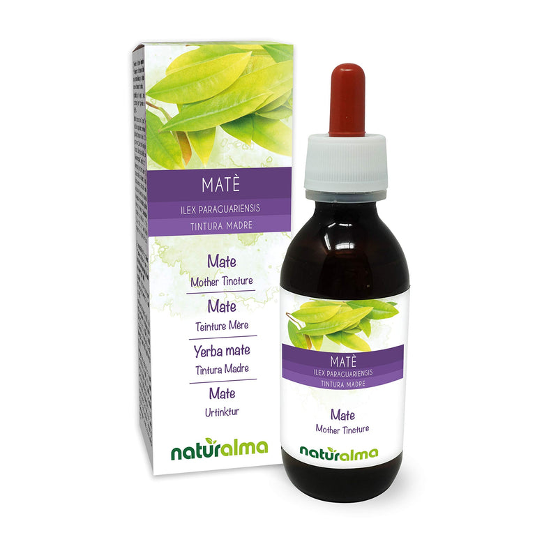 [Australia] - Mate (Ilex paraguariensis) Leaves Alcohol-Free Mother Tincture Naturalma | Liquid Extract Drops 120 ml | Food Supplement | Vegan 
