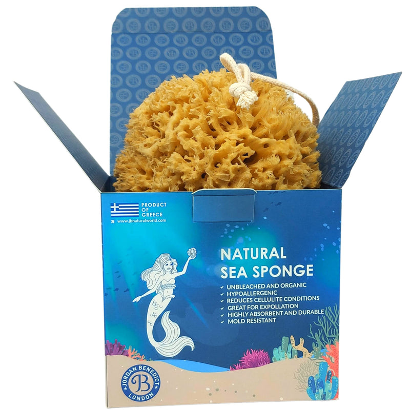 [Australia] - Jordan Benedict Natural Sea Sponge - Natural Sea Sponge for Bath and Shower for Adults L (Pack of 1) 