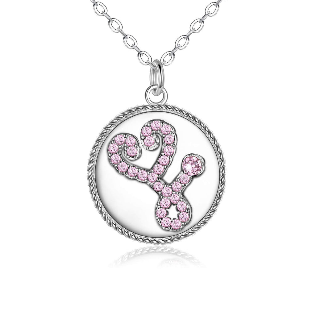[Australia] - AOBOCO Nurse Necklace Sterling Silver, Pink Crystals Stethoscope Coin Pendant Jewellery Gifts for Nurse Doctor 