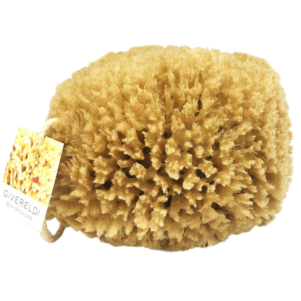 [Australia] - Givereldi Power Exfoliator Natural Sea Sponge | Strong and Durable Unbleached Adult Pouf and Scrub with Rope | 100% Natural, Organic & Hypoallergenic | Bath & Shower Body Exfoliating, Art and Pets 14.5 cm approx 