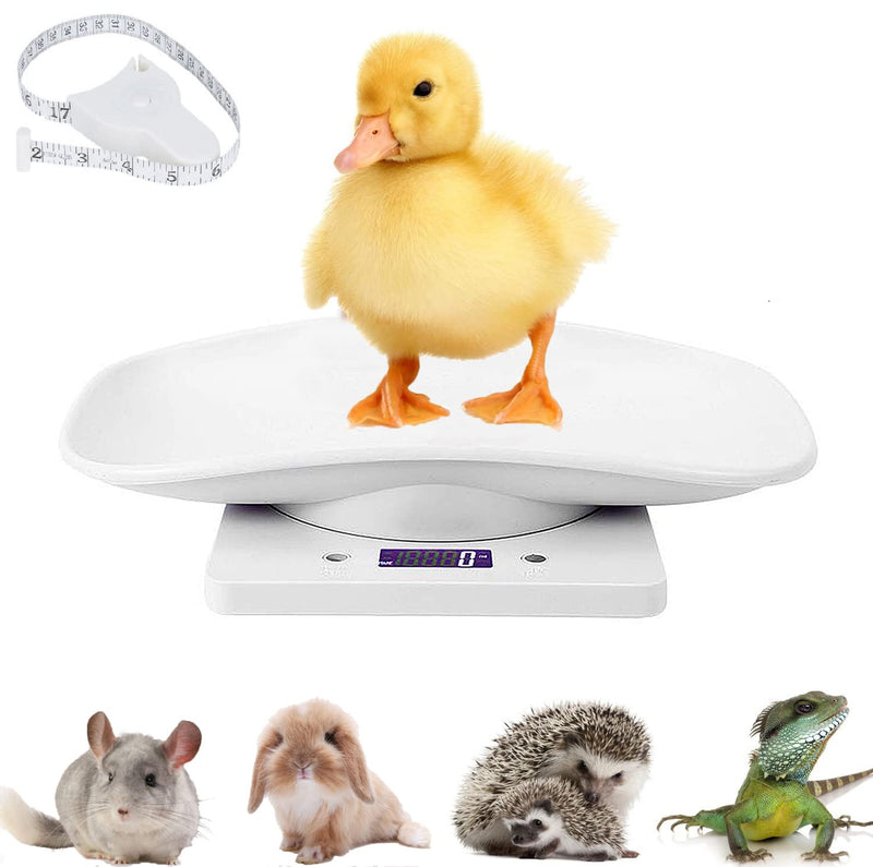 [Australia] - Digital Pet Weighing Scales Mini Cat Dog Scale, Multi-Function Puppy Scale, LCD Kitchen Scales Electronic Food Scales, Switchable g/lb/oz, Easy Clean for Hamster Bunny Bird Small Ainimal 10KG/22 lbs 